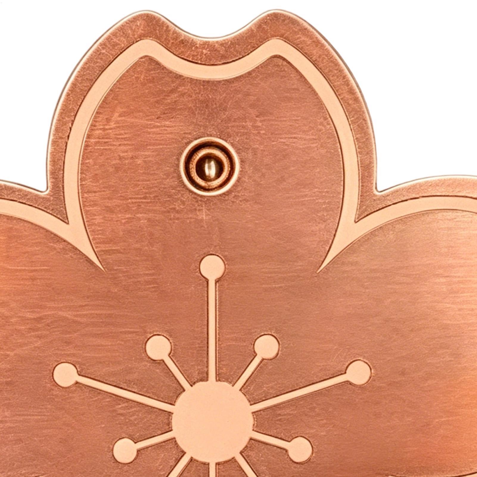 Watches & Jewelry Repair Center Photos - Placa de Cobre para Banho de