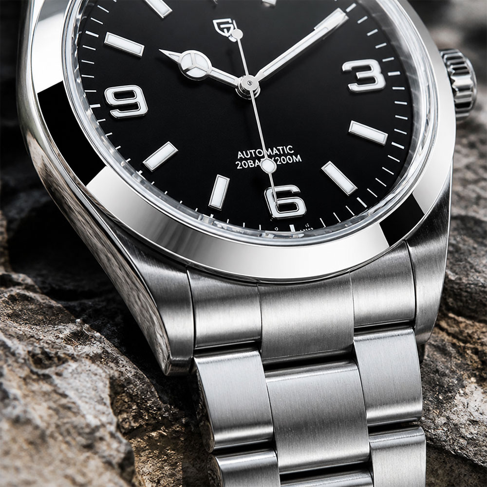Novo Relógio Mecânico PAGANI D - Mens Mechanical Watch avaliação e preço